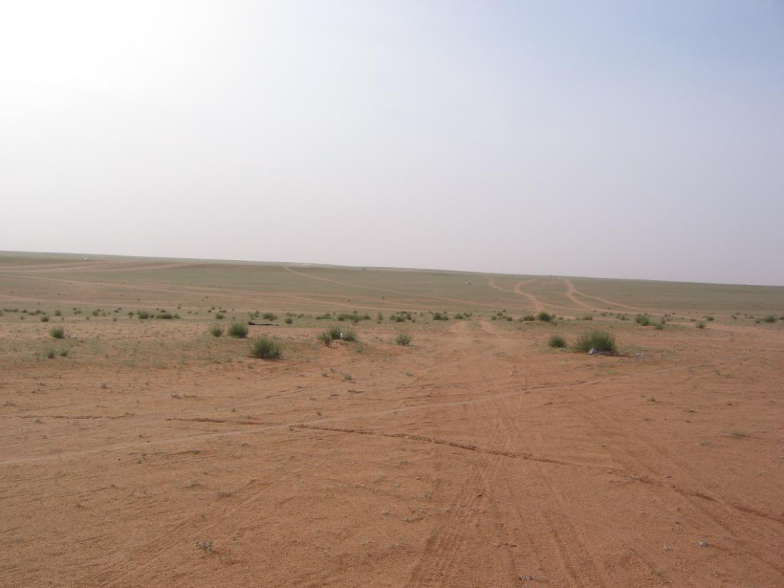 خوابي التنهات بعد  الامطار — الرياض، منطقة الرياض